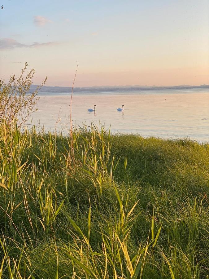 Haus Felchen - Apartment 4 - Sandmuschel - Mit Priv Strandzugang Friedrichshafen Bagian luar foto